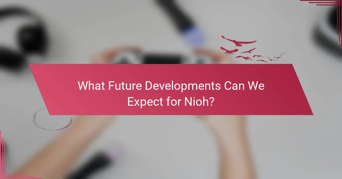 What Future Developments Can We Expect for Nioh?